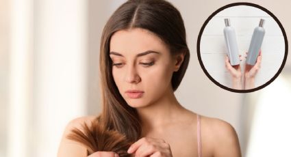 Prepara tu shampoo con este ingrediente para fortalecer cabello dañado y quebrazidzo