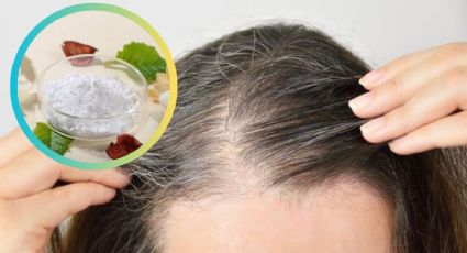 La keratina casera para hidratar el cabello seco y con canas: tutorial