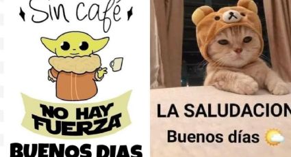 Stickers de buenos días para WhatsApp: los mejores para enviar cada mañana