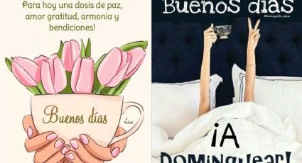 Stickers de "Feliz domingo" y bendiciones para WhatsApp