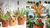 Foto ilustrativa de la nota titulada Plantas: 5 ideas de macetas navideñas para adornar esta temporada