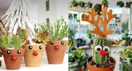 Plantas: 5 ideas de macetas navideñas para adornar esta temporada