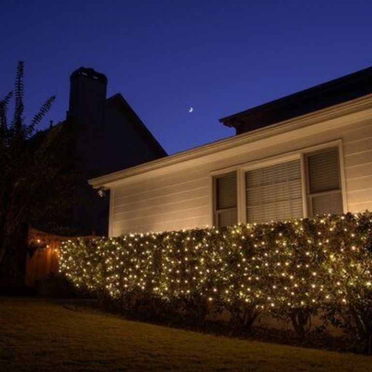 Froams de adornar los arbustos de la casa con luces de navidad