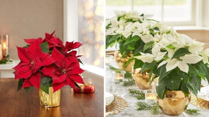 3 fantásticas ideas para decorar una Nochebuena para centro de mesa