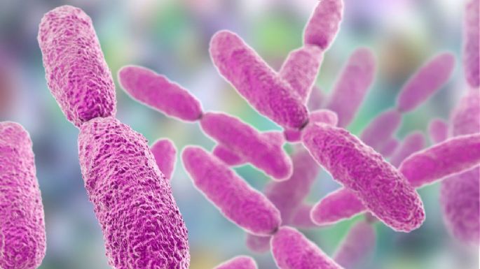 Síntomas de Klebsiella oxytoca y a quiénes afecta la bacteria detectada en el Estado de México