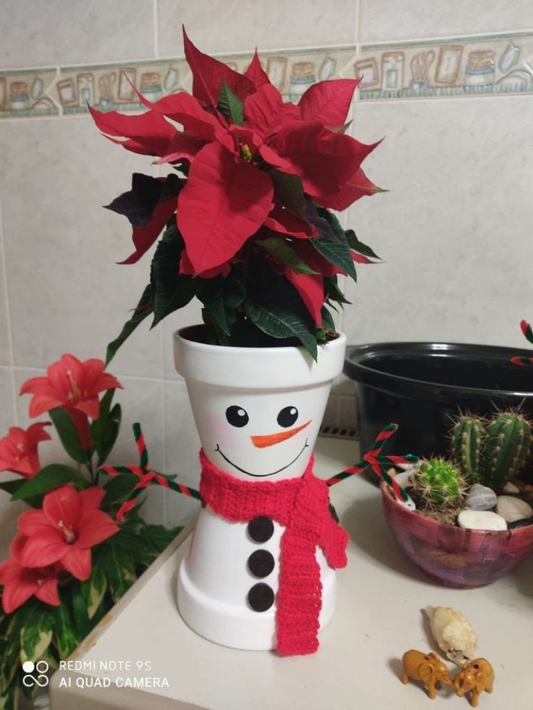 Decoración de plantas con macetas navideñas con Nochebuenas