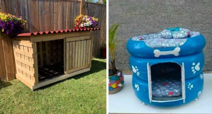 Material reciclado: 3 opciones para hacer una casa para perro sin gastar tanto