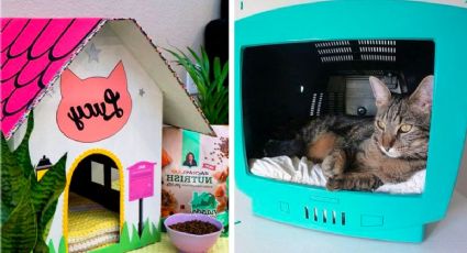 Material reciclado: 3 alternativas para hacer una casa para gato con cosas que ya tienes