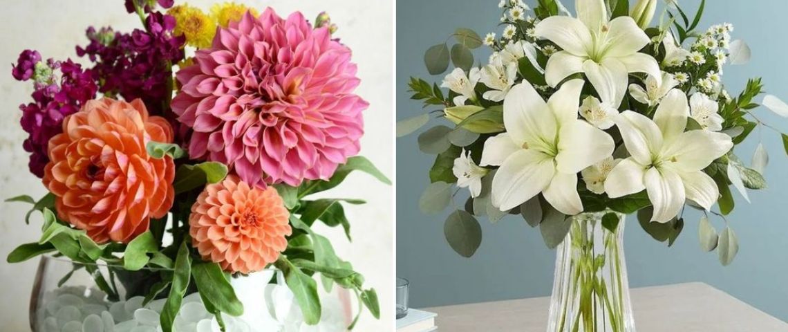 ¿Qué flores se usan para decorar el comedor? 3 plantas para dar frescura y elegancia