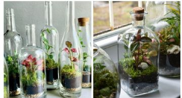 Material reciclado: 4 ideas para crear un jardín en botellas de vidrio