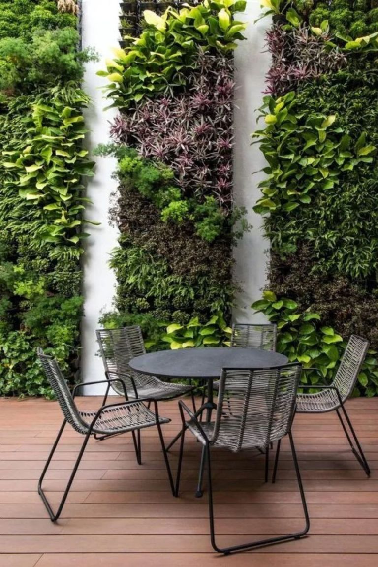 Plantas de sombra ideas para decoración de jardín