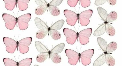 Plantillas de mariposas para imprimir y colorear: imágenes para quitarte el estrés