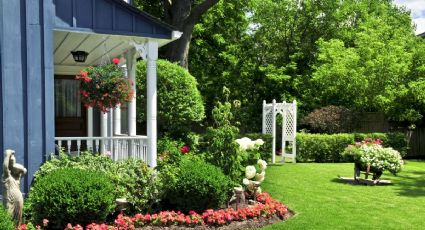 Renueva tu jardín con estas 4 plantas que refrescan cualquier lugar: huelen rico y purifican el aire