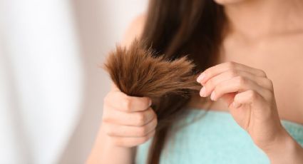 ¿Cómo hidratar el cabello con puntas secas? 3 formas de recuperar tu pelo