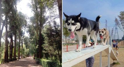 Lugares para correr con tu perro en CDMX: parques y senderos para ejercitarte con tu mascota