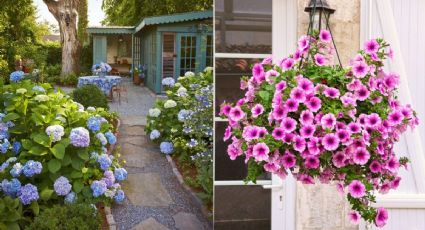 ¿Qué flores florecen en primavera? 4 plantas bonitas para tener en macetas en tu patio o jardín