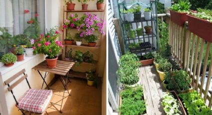 Transforma el balcón de tu departamento en un bonito jardín pequeño con estas 4 ideas