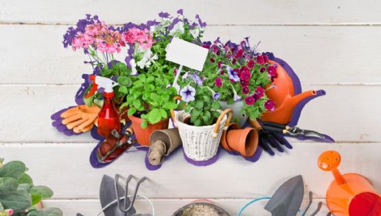 Ideas para tener un jardín botánico en casa