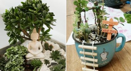 Mini jardín en macetas: 5 ideas para crear el tuyo en tus plantas