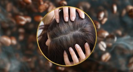 ¿Cómo cubrir las canas en cabello oscuro con un ingrediente de cocina?