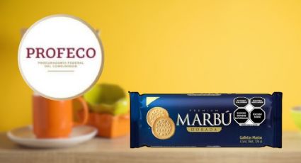 Pocos las conocen, pero estas son las galletas Marías con menos azúcar, según Profeco