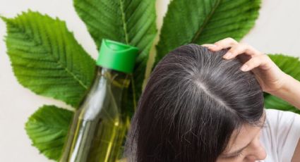 El shampoo natural que reduce las canas paulatinamente y hace crecer el cabello