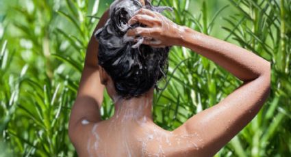 La planta que puedes ponerle a tu shampoo para oscurecer canas y crecer tu cabello