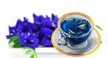 ¿Qué tan bueno es el té de sirena? Todo sobre la infusión que promete ayudar a bajar de peso