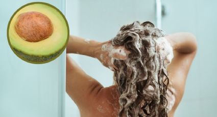 ¿Cómo agregar hueso de aguacate a mi shampoo? Te decimos cómo hacerlo paso a paso