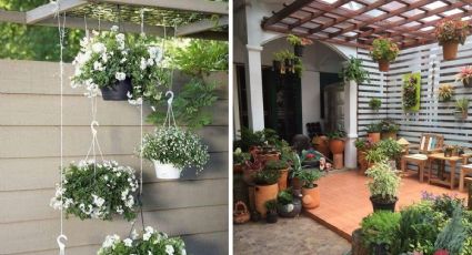 ¿Cómo decorar un patio pequeño de Infonavit con plantas?
