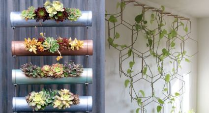 3 Ideas de decoración sencillas con plantas y material reciclado que darán vida a tus paredes