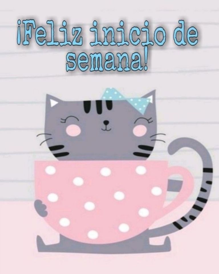 sticker de whatsapp con un gatito para el inicio de semana