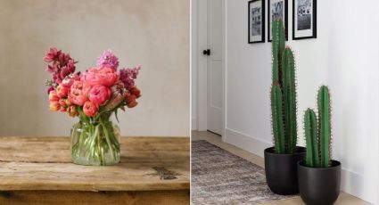 10 plantas artificiales que harán lucir tu casa más linda y espaciosa