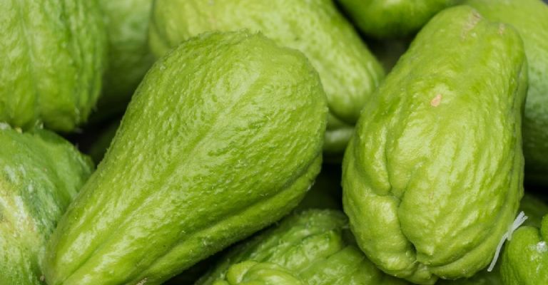 cuál es el precio del chayote hoy 10 de septiembre