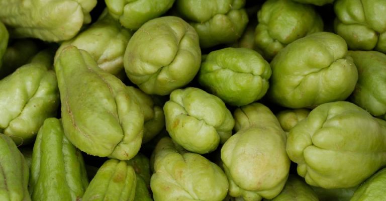 cuál es el precio del chayote en la Central de Abastos