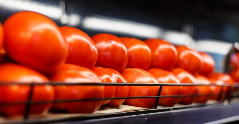 oferta de verduras en bodega aurrera