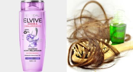 Shampoo Morado Elvive: ¿el ácido hialurónico provoca la caída del cabello?