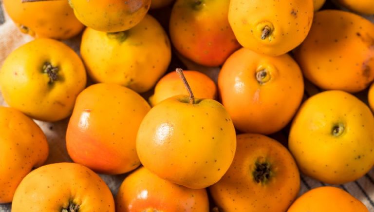 7 comidas para poner en la ofrenda el dia de muertos