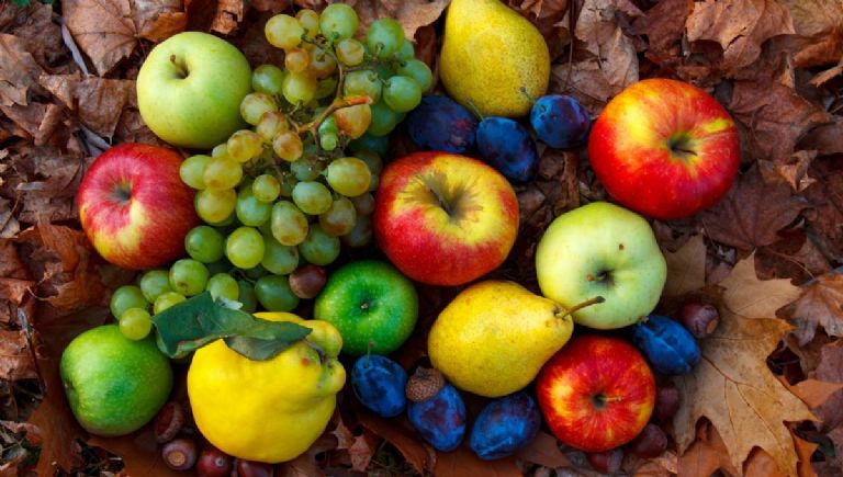 coloca fruta en la ofrenda por el dia de muertos