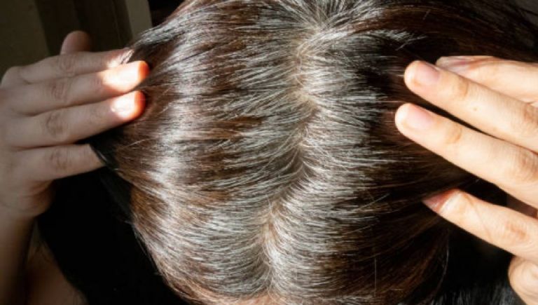 ¿Qué plantas me ayudan a oscurecer canas del cabello?