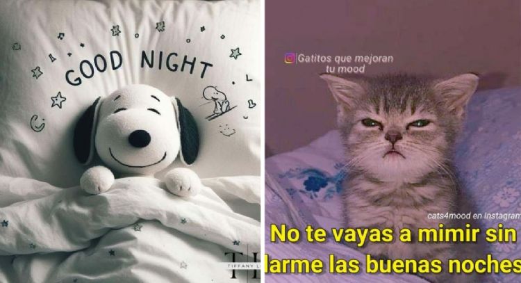 Stickers de "buenas noches" para enviar por WhatsApp frases bonitas