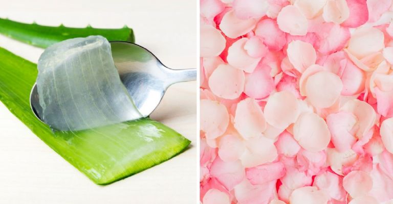 beneficios del aloe vera y rosas para eliminar arrugas del rostro