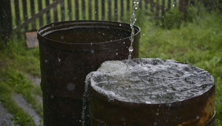 Consejos de jardinería para aprovechar el agua de lluvia