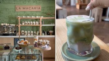 El matcha room para fans de esta bebida: precios y cómo llegar a la cafetería La Macaria