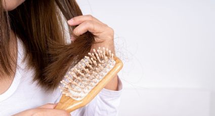 ¿Cuál es el mejor remedio para evitar la caída del cabello?