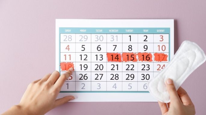 ¿Cuáles son las fases del ciclo menstrual? Conoce tu cuerpo