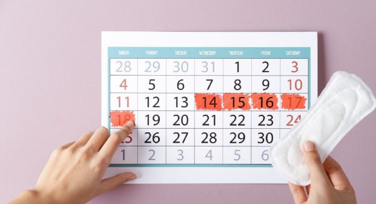 ¿Cuáles son las fases del ciclo menstrual? Conoce tu cuerpo