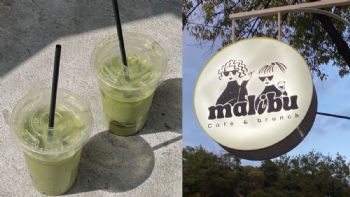 Malibú Café, la cafetería para disfrutar un buen matcha en CDMX