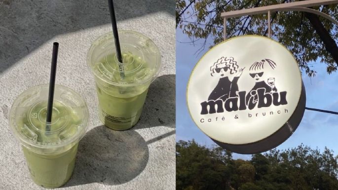 Malibú Café, la cafetería para disfrutar un buen matcha en CDMX