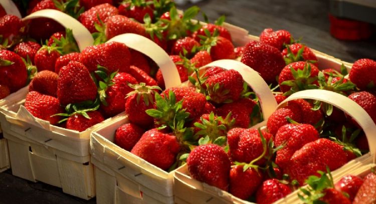 La fruta que puede ayudar a reducir los dolores menstruales que deberías consumir